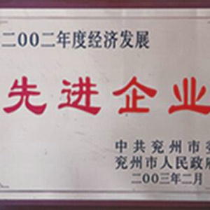 經濟發(fā)展先進企業(yè)